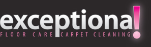 Exceptional Carpet Cleaning
