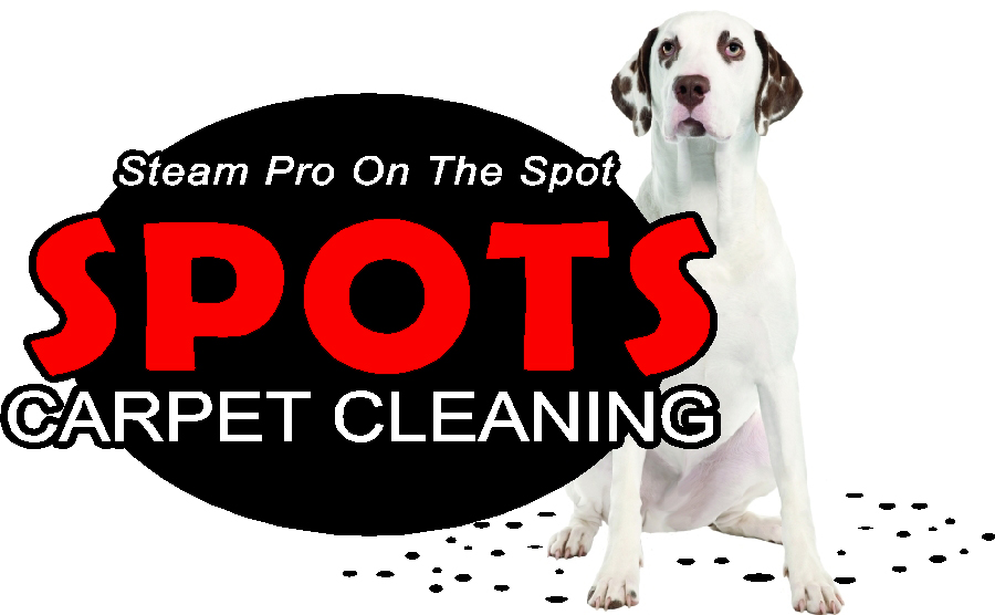 Spots Carpet Cleaning
