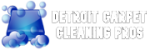 Detroit Carpet Cleaning Pros