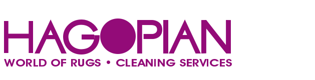 Hagopian Cleaning Services - Ann Arbor