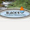 Black's Foundation Waterproofing - Douglasville