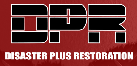 Disaster Plus Restoration