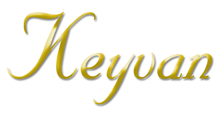 Keyvan Oriental Rugs - San Antonio