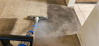Custom Steam Carpet Cleaning