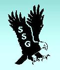 Southern Security Group, Inc.