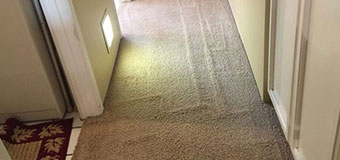 Better Care Carpet and Upholstery Cleaning