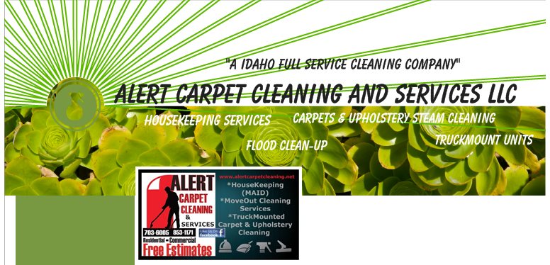 Alert Carpet Cleaning And Services LLC