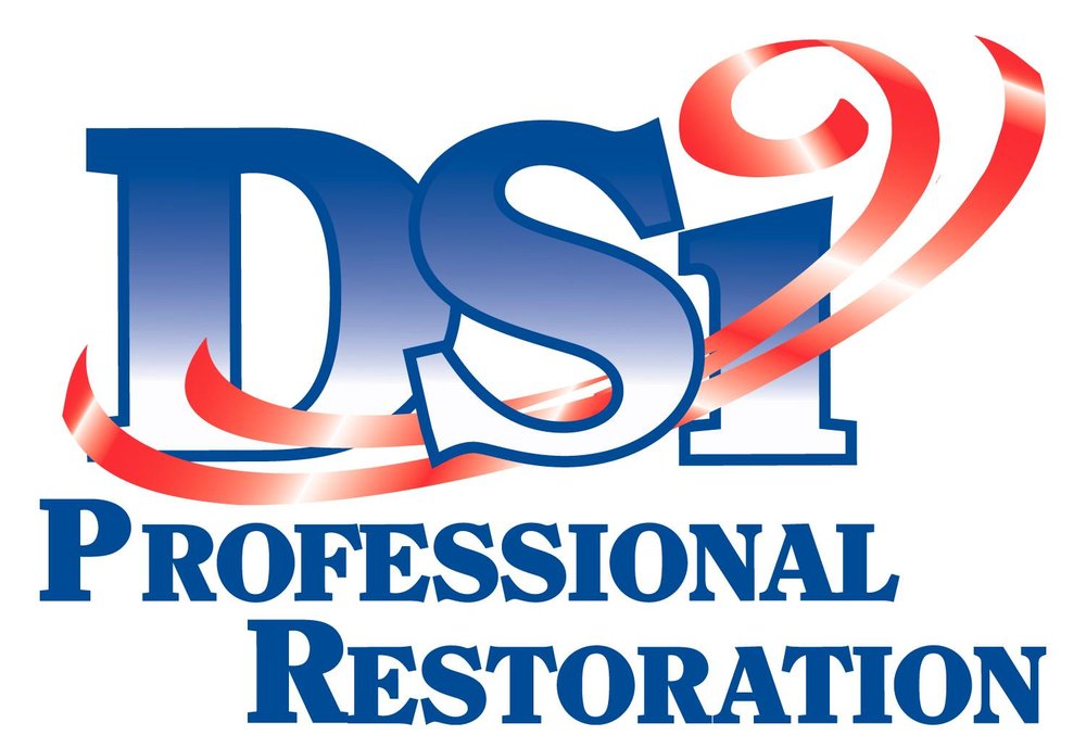 DSi Professional Restoration