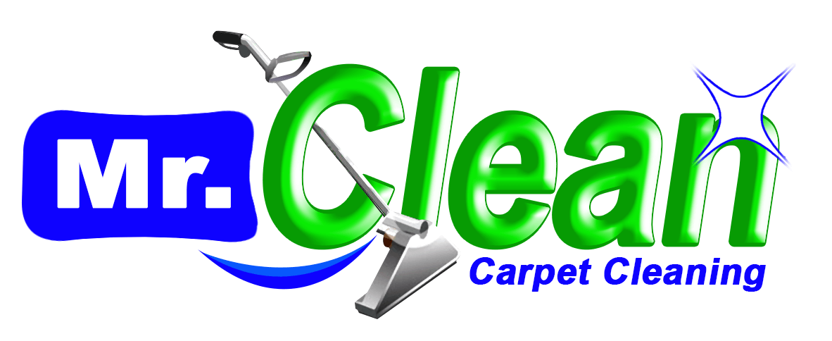 Mr. Clean Oriental Carpet Cleaning