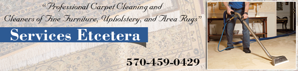Services Etcetera Carpet & Upholstery Cleaning