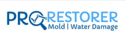 DC Mold Removal – Pro Restorer
