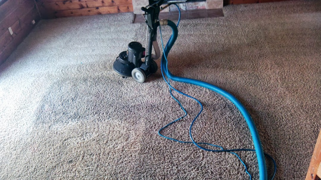 Alpha Dog Carpet Cleaning