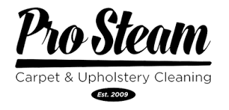 Pro-Steam Carpet & Upholstery Cleaning