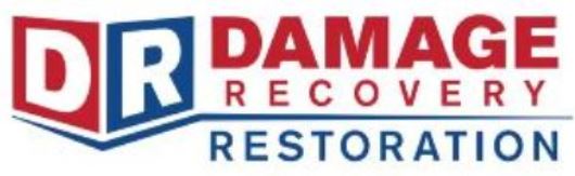 Damage Recovery Restoration