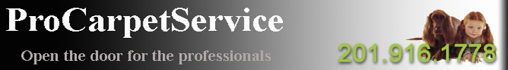 Constantin Service LLC